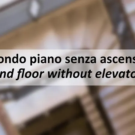 Guya Apartment By Mamo Florence-2